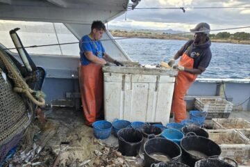 Pescadores del Mediterráneo: un oficio en libertad vigilada