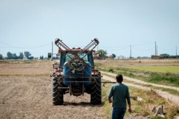 España pierde 51.000 ocupados en el campo en dos años por la sequía