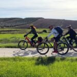 En bici por la vía verde de la Campiña andaluza entre hileras de olivos