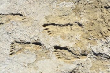 Un estudio confirma que las huellas humanas más antiguas de América tienen más de 20.000 años, aunque no se sabe de qué cultura son