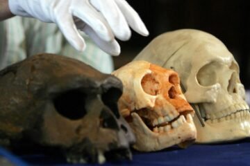 La era de los cazadores de homínidos