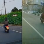 El indignante comportamiento de un ciclomotor en una carretera de Orense cuando recibe un adelantamiento: “Hay gente que valora poco su vida”