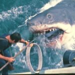 ‘Tiburón’: 50 años del baño más sangriento en la playa