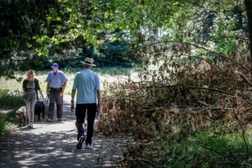 Una huelga de jardineros en Vitoria provoca una explosión de flores: “Si se deja que se desarrollen las plantas, la biodiversidad se multiplica”