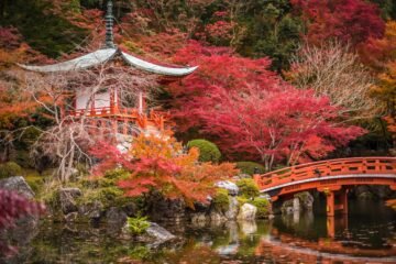 Noviembre en Japón: un viaje para contemplar el ‘momiji’ antes de que acabe el año