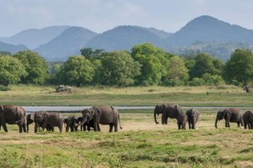 Dos españoles figuran en la lista de los veinte mayores cazadores de trofeos del mundo