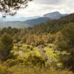 Solo Sculpture Trail, cuando el arte camina entre los paisajes de Teruel