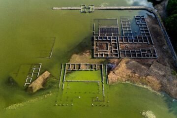 Los peritos certifican ante el juez la contaminación extrema del embalse de As Conchas