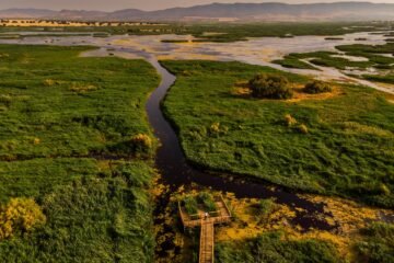 Así se ve desde el aire el renacer de Las Tablas de Daimiel: las lluvias dan un respiro al parque nacional, pero es un espejismo