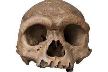El enigmático hombre dragón chino no es una nueva especie: es un denisovano y por fin conocemos su aspecto