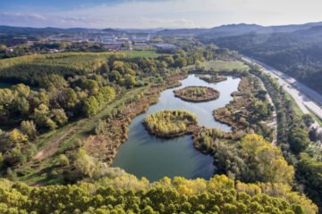 El ADN ambiental de una muestra de agua: conservacionistas empiezan a usar pruebas genéticas para mejorar la gestión de ecosistemas