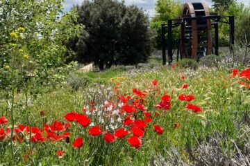Parques urbanos con certificado ecológico como los alimentos