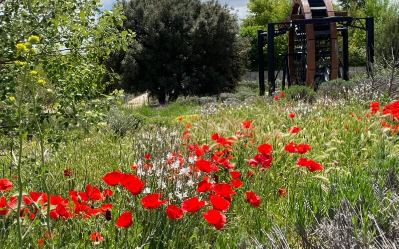 Parques urbanos con certificado ecológico como los alimentos