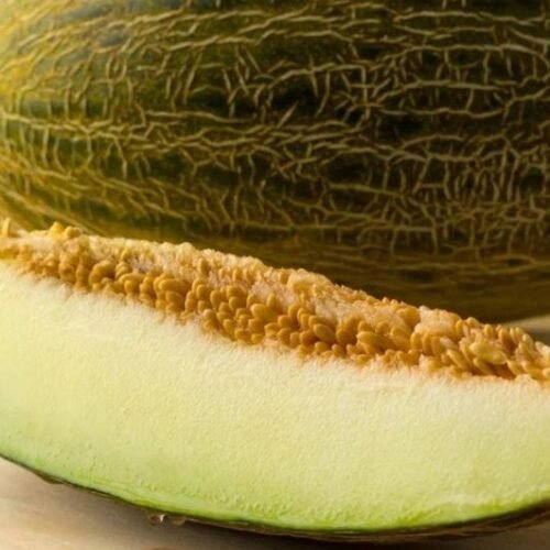 Ni dar palmaditas ni moverlos: así se distingue si un melón está bueno en el supermercado