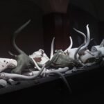 El poeta y el museo