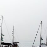 El largo viaje de los ingenuos