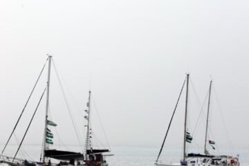 El largo viaje de los ingenuos