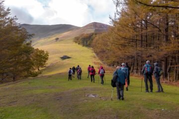 El otoño es un manjar de color y sabor en Navarra