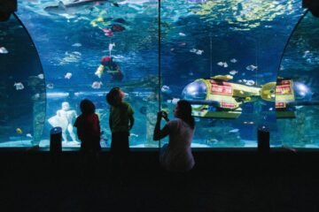 Los mejores destinos para viajar con niños de enero a diciembre