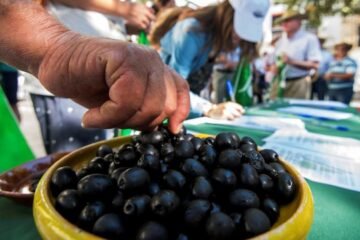 La UE aplicará represalias de 12 millones contra EEUU. por sus aranceles a la aceituna española
