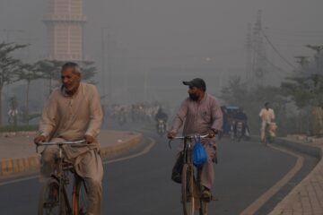 Más de 500.000 muertos al año por calor: el negacionismo y la inacción climática amenazan la vida de millones de personas