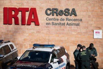 La Generalitat se expone a indemnizaciones millonarias si el brote de peste porcina africana salió del laboratorio CReSA