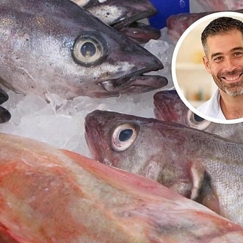 Pablo Ojeda, nutricionista, sobre cómo conservar el pescado para que te dure en buen estado más tiempo: «No es solo cuestión de comprarlo bueno»