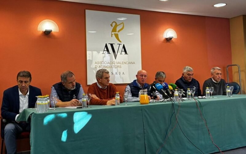 Agricultores valencianos cifran en 340 millones las pérdidas de 2025, marcado aún por la dana