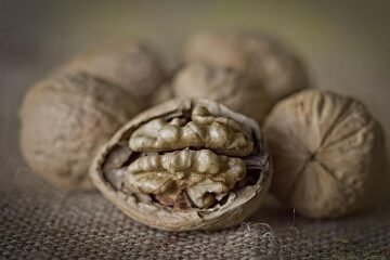Aurelio Rojas, cardiólogo, sobre el fruto seco imprescindible para una buena salud: «Reduce el colesterol del malo»