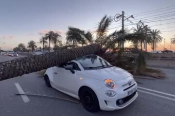 Temporal en Catalunya: qué daños por viento cubre tu seguro y cuáles tendrás que pagar tú