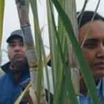 ‘Historias del buen valle’ (★★★★★): un poeta visita Vallbona, y otros estrenos de la semana