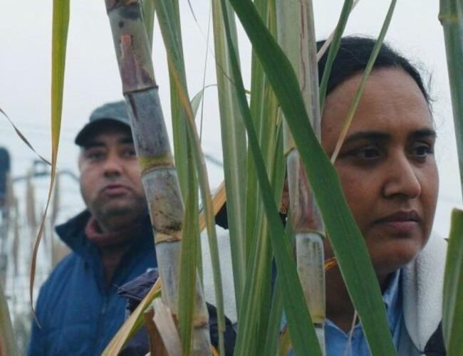 ‘Historias del buen valle’ (★★★★★): un poeta visita Vallbona, y otros estrenos de la semana