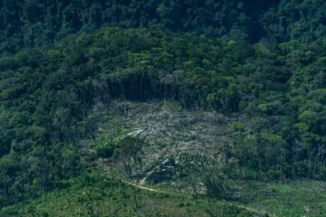 Ante el retroceso de otros, lideremos la acción climática