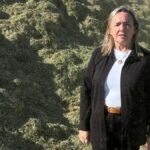 La guerra de EEUU e Israel contra Irán bloquea 2.000 contenedores de alfalfa aragonesa y catalana