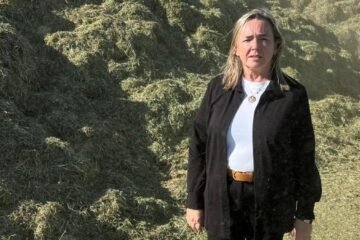 La guerra de EEUU e Israel contra Irán bloquea 2.000 contenedores de alfalfa aragonesa y catalana