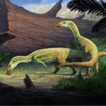 El insólito ‘cocodrilo’ que nacía a cuatro patas y de adulto se volvía bípedo