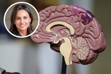 Ana Ibáñez, neurocientífica: «Un cerebro que disfruta es más brillante, despliega mejor sus capacidades»