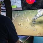 Resuelta la ‘paradoja del oxígeno’: por fin sabemos cómo surgió la vida compleja