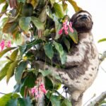 10 destinos desconocidos de Perú: cuevas gigantescas, cascadas ocultas o el cañón profundo de Arequipa