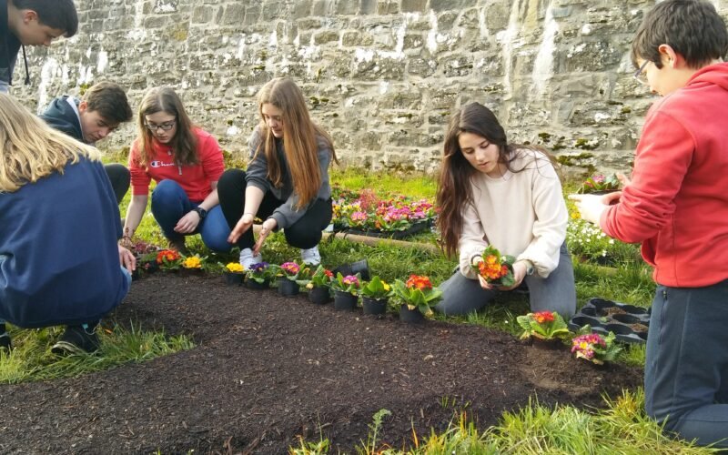 Lecciones de un boletín de 1935: ¿por qué la educación no cambia?
