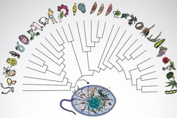 Descubren que el ancestro común de toda la vida compleja esconde la cura a nuestras enfermedades