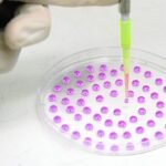 China envía embriones humanos artificiales al espacio para comprobar si podemos reproducirnos fuera de la Tierra