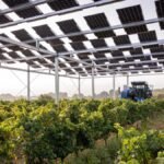 Agricultura y paneles solares buscan encajar