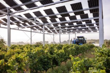 Agricultura y paneles solares buscan encajar