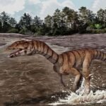 Descubren al ‘cocodrilo de la bruja’, que caminaba sobre dos patas hace 200 millones de años