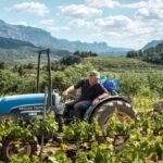 Impulso al enoturismo en Catalunya para aliviar la caída de las ventas de vino