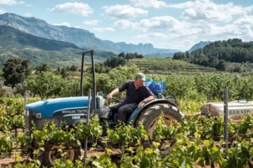 Impulso al enoturismo en Catalunya para aliviar la caída de las ventas de vino