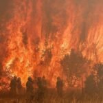 El incendio más mortal en 40 años: un repaso por los fuegos que han arrasado España