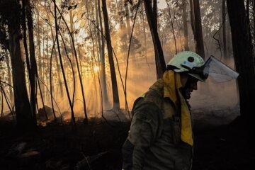 Ataque directo, indirecto o contrafuego: así luchan los bomberos contra los incendios forestales