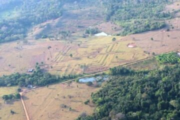 Escáneres láser revelan miles de centros ceremoniales construidos por una misteriosa civilización en la selva amazónica hace 2.000 años